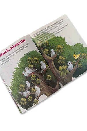 1 ve 2. Sınıf Kısa Hikayelerle Çocuk Gelişim Seti - 10 Kitap - 3