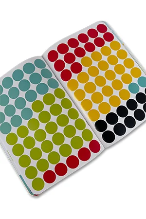 3-4 Yaş Renk Eşleştirme ve İnce Motor Sticker Seti - 4 Kitap - 5