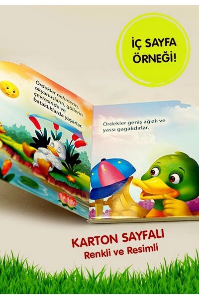 Ben Kimim? - Ördek - 2