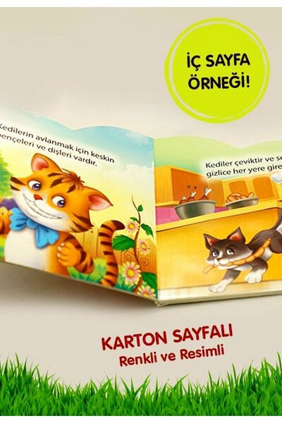 Ben Kimim? - Kedi - 2