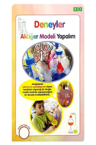 Eğitici Kartlar - Deneyler - 2