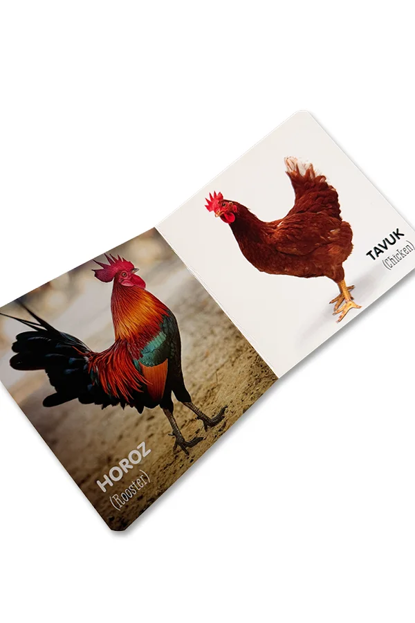 Gerçekci Çiftlik Hayvanları - Renkler - Meyveler - 3