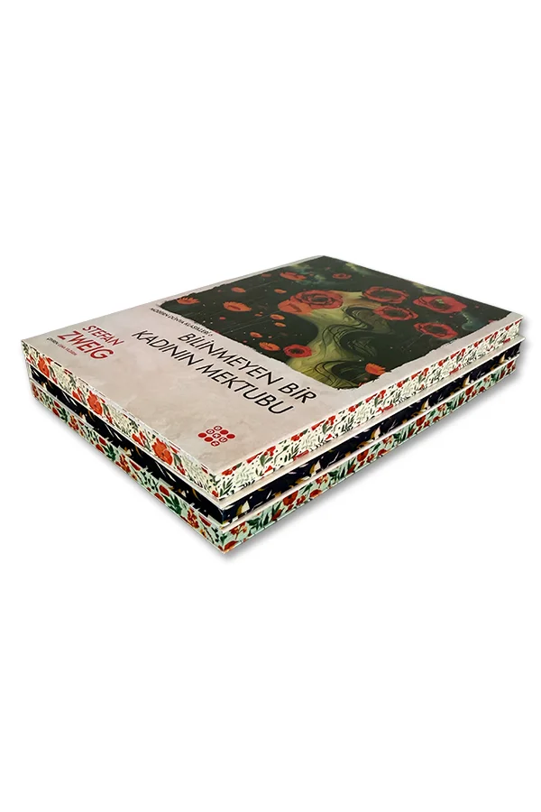 Stefan Zweig - 3 Kitap - 2