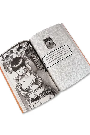 Hachiko ve Sadako - 2 kitap - 2