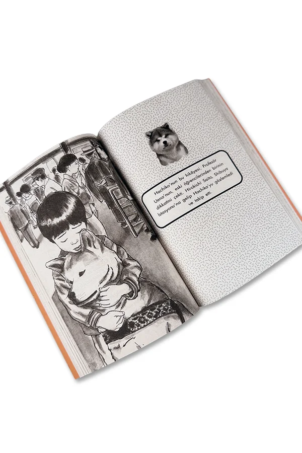 Hachiko ve Sadako - 2 kitap - 2